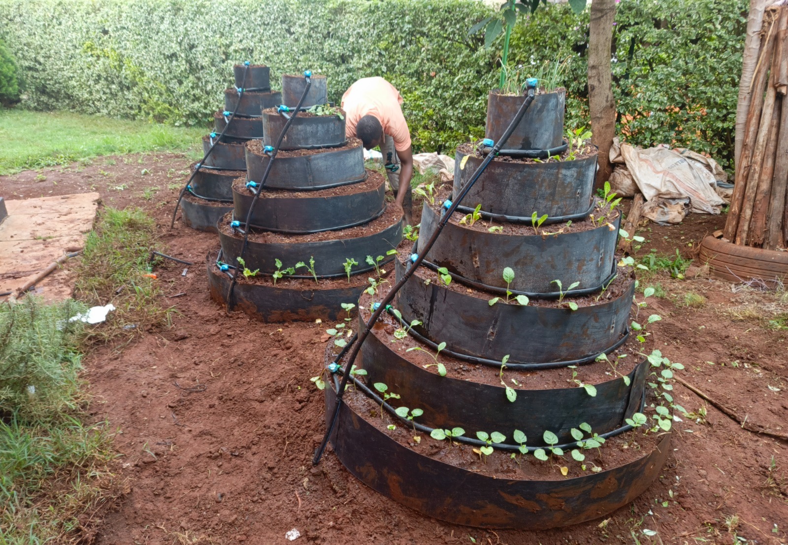Drip irrigation kit